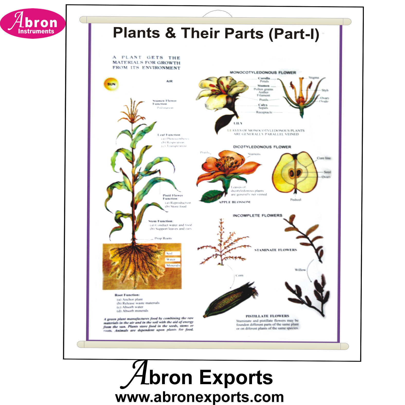 Bio-Visual Charts General Science set of 30